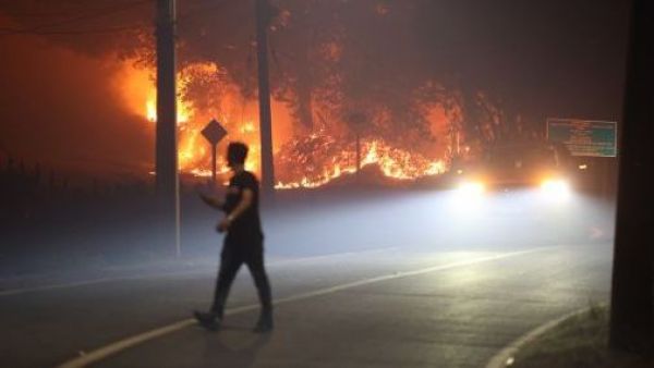 Confirman un fallecido por incendio forestal en Bulnes
