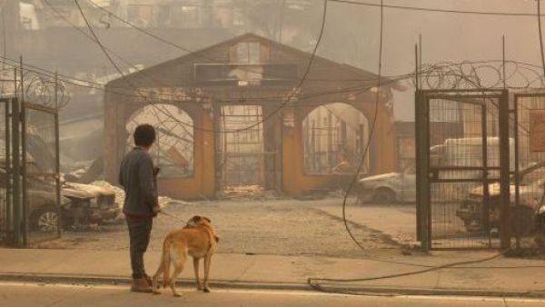 <p>Empresas de telecomunicaciones liberan servicios por incendios en Ñuble y Biobío</p>