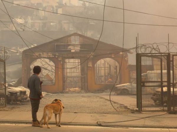 Empresas de telecomunicaciones liberan servicios por incendios en Ñuble y Biobío