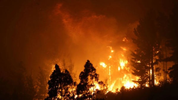 Los jugadores del fútbol chileno afectados por los incendios en la región del Biobío
