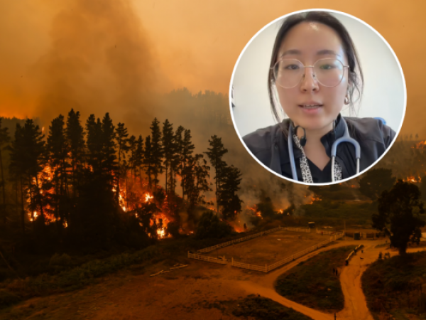 Recomendaciones sobre qué hacer y no hacer en caso de inhalar humo