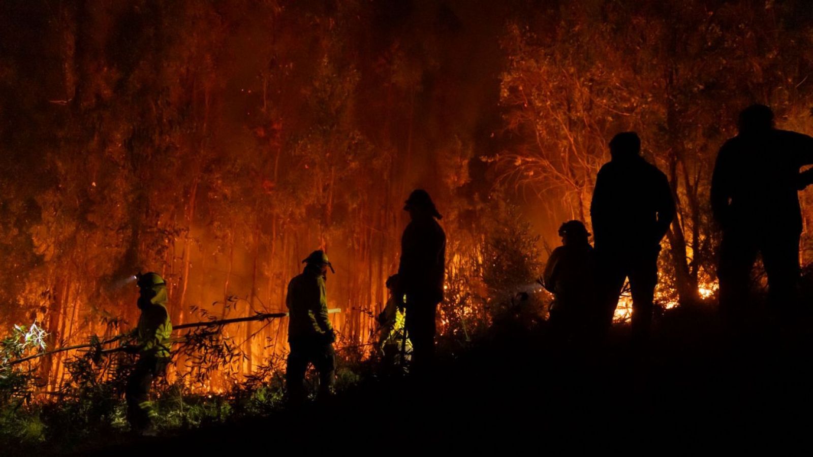"Gente delincuente y terrorista": Investigan disparos a bomberos que combaten incendios en la región del Biobío
