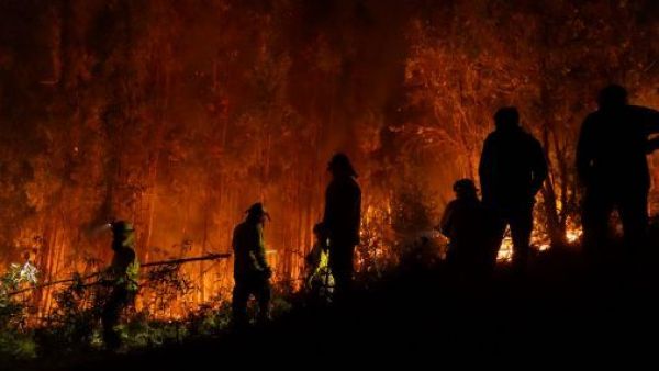 "Gente delincuente y terrorista": Investigan disparos a bomberos que combaten incendios en la región del Biobío
