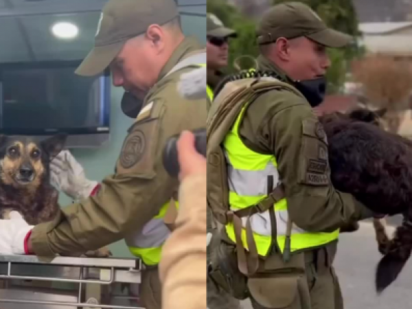 Carabineros y PDI rescatan animales en zonas afectadas por incendios