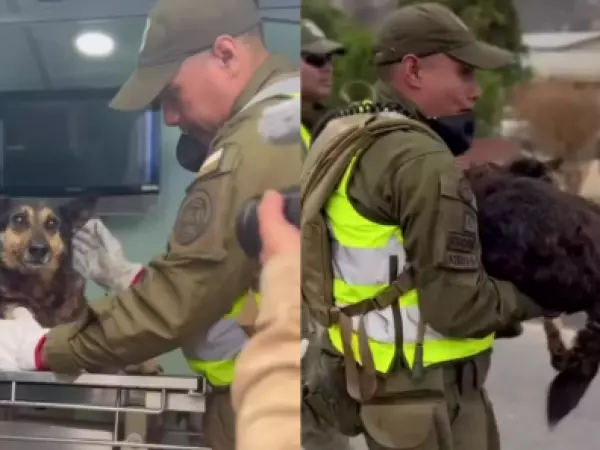 Carabineros y PDI rescatan animales en zonas afectadas por incendios