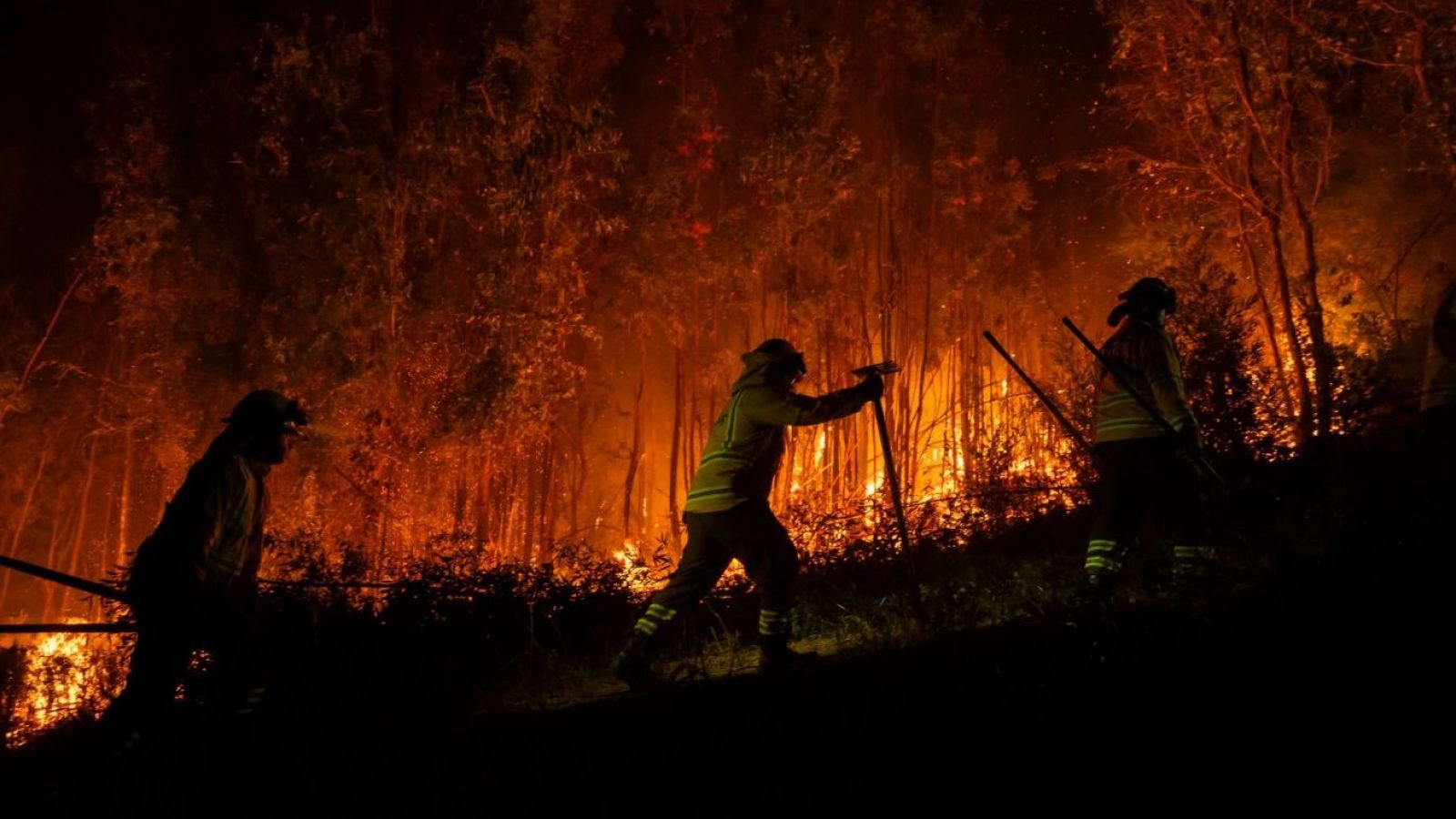Ministro Cordero informó detención de sujeto iniciando incendios en La Araucanía