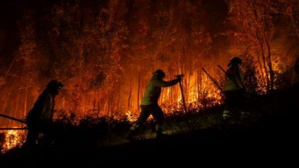 <p>Ministro Cordero informó detención de sujeto iniciando incendios en La Araucanía</p>Ministro Cordero informó detención de sujeto iniciando incendios en La Araucanía
