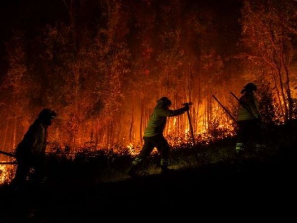Ministro Cordero informó detención de sujeto iniciando incendios en La Araucanía