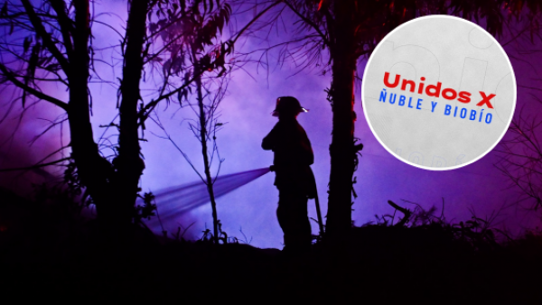 "Unidos por Ñuble y Biobío": estos son los animadores confirmados para la transmisión solidaria
