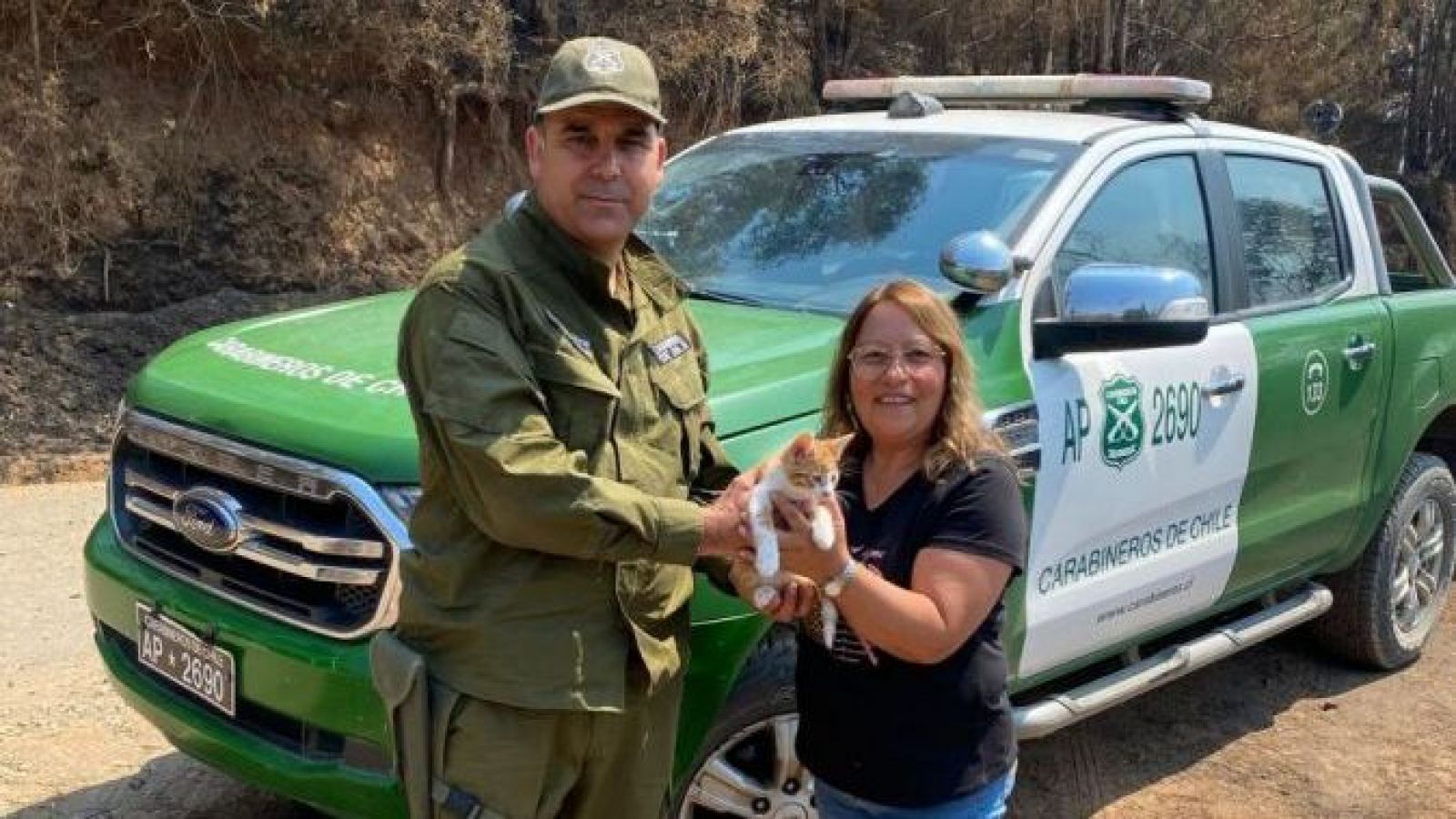 Gato se reencuentra con sus dueños tras rescate de Carabineros durante incendio en Hualqui