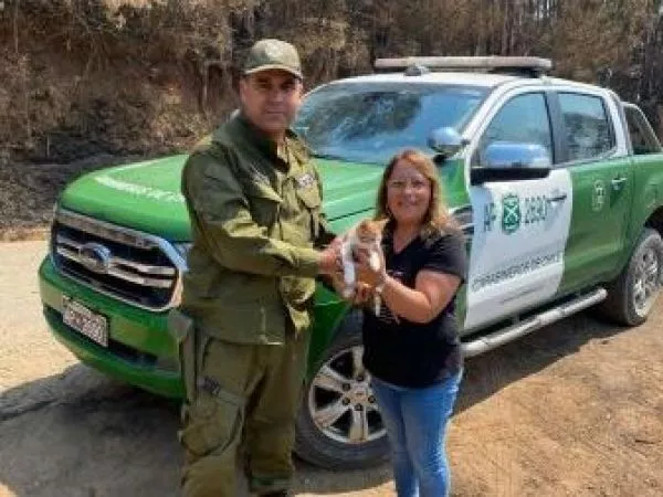 Gato se reencuentra con sus dueños tras rescate de Carabineros durante incendio en Hualqui