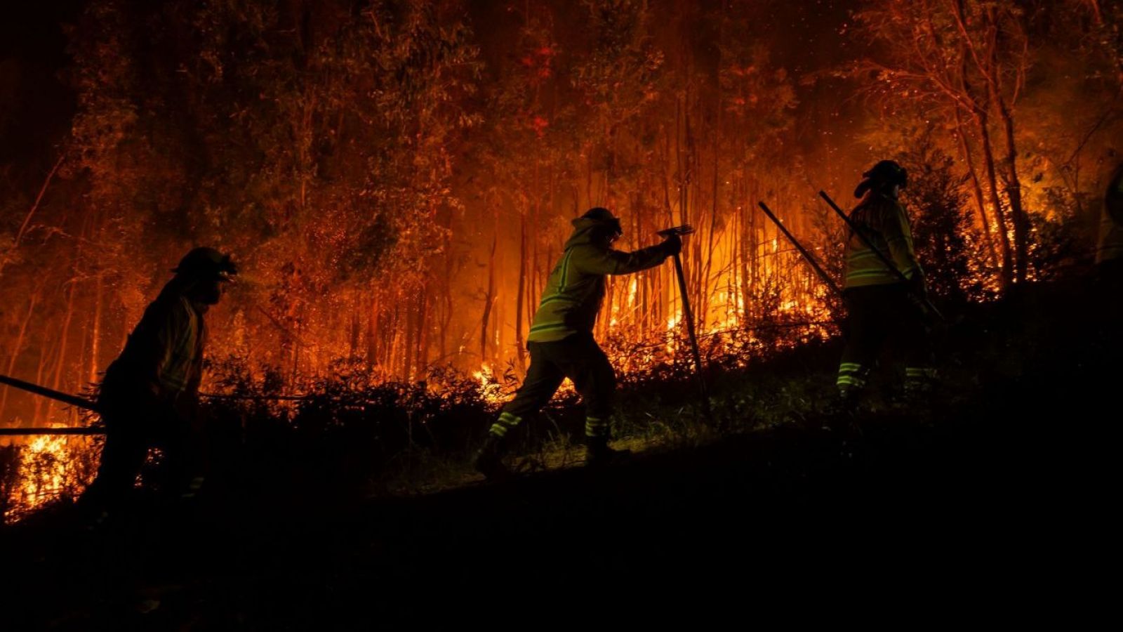 Conaf hace balance: 15 incendios controlados y 6 que se mantienen en combate