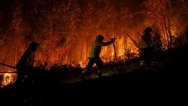 Conaf hace balance: 15 incendios controlados y 6 que se mantienen en combate