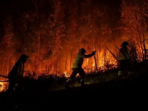 Conaf hace balance: 15 incendios controlados y 6 que se mantienen en combate
