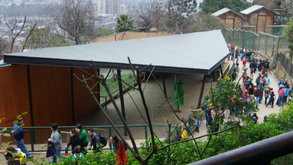 <p>Zoologico Nacional</p>Entrada gratis al Zoológico Nacional: así puedes reservar tu visita
