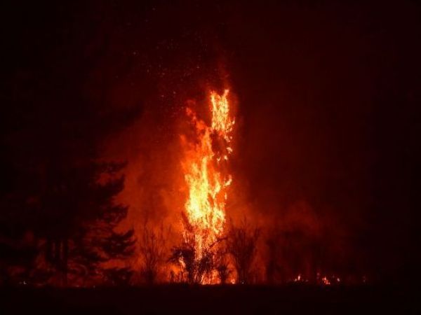 Alerta roja por incendio forestal en Nueva Imperial: 15 hectáreas afectadas