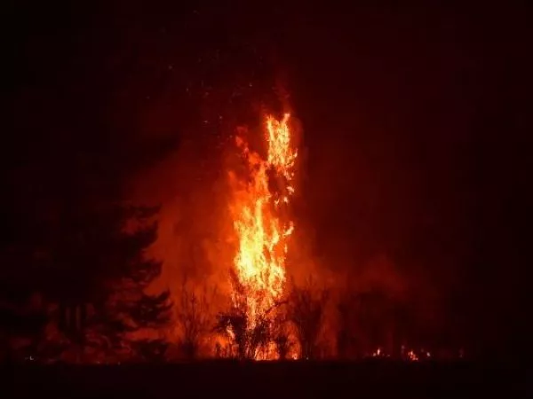 Alerta roja por incendio forestal en Nueva Imperial: 15 hectáreas afectadas