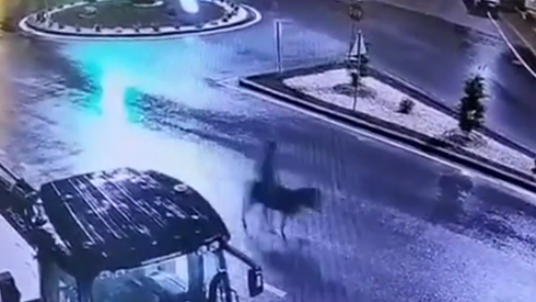 Delincuente robó una joyería y arrancó en burro
