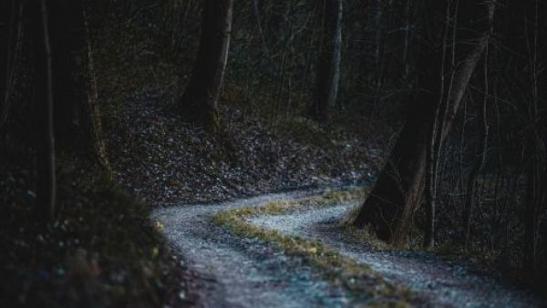 <p>Hombre mata a su madre y oculta el cuerpo en el bosque para cobrar su pensión en Italia</p>Hombre mata a su madre y oculta el cuerpo en el bosque para cobrar su pensión en Italia
