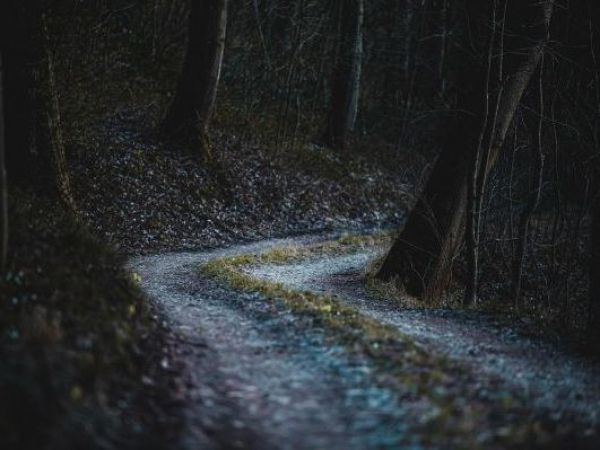 Hombre mata a su madre y oculta el cuerpo en el bosque para cobrar su pensión en Italia