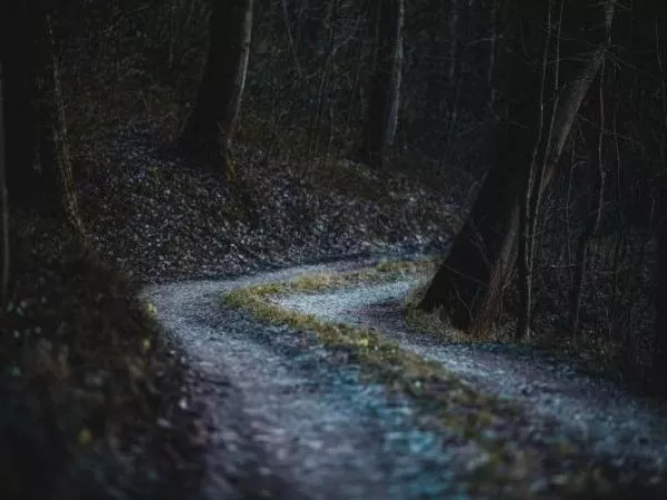 Hombre mata a su madre y oculta el cuerpo en el bosque para cobrar su pensión en Italia