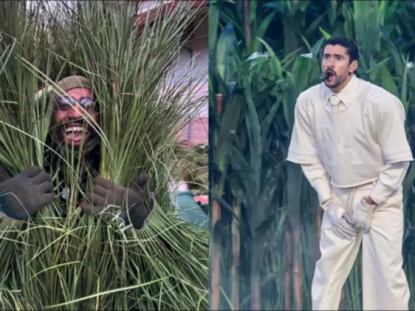 Disfraz de arbusto del show de Bad Bunny en el Super Bowl se vende por cerca de $4,3 millones