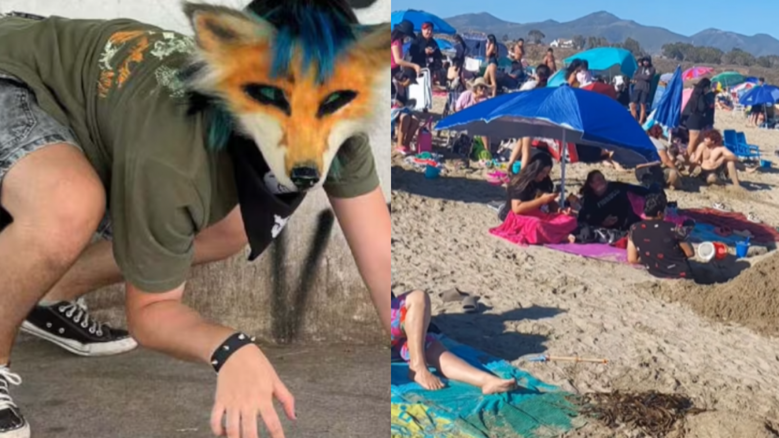 Salvavidas impone normas a los "therians": deben estar "amarrados y con bozal"