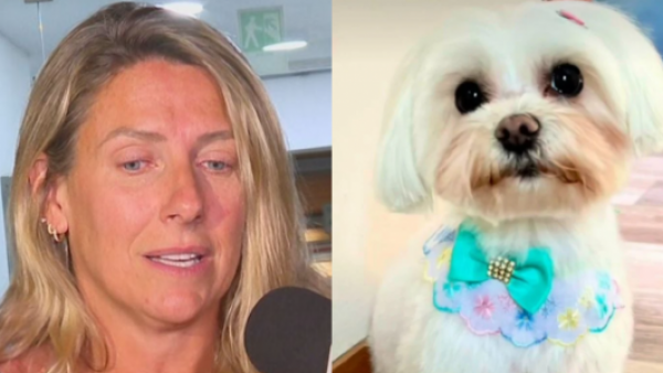 <p>Murió en encerrona: Macarena Tondreau despide a su perrita</p>Murió en encerrona: Macarena Tondreau despide a su perrita
