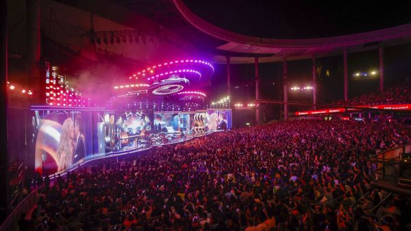 ¡Viña tiene react!: Sigue en TVN todo lo que pasa dentro y fuera del Festival
