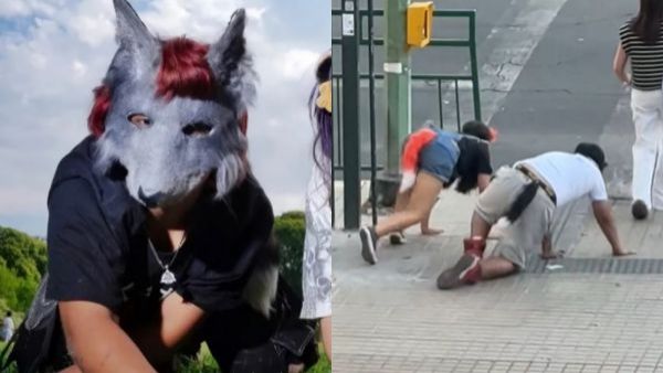 Red Nacional de Salud advierte las consecuencias de adoptar la postura de un "Therian"
