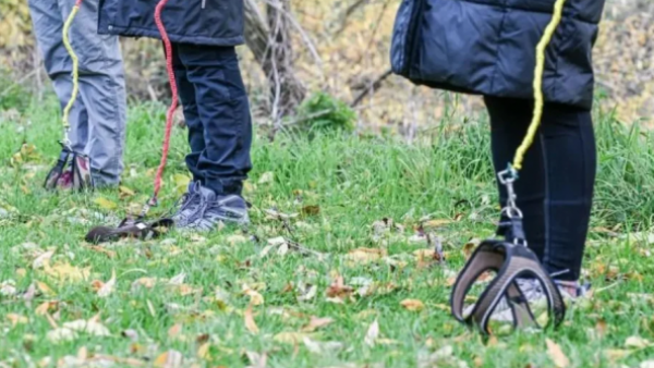 Hobby Dogging: ¿De qué trata esta nueva tendencia viral?
