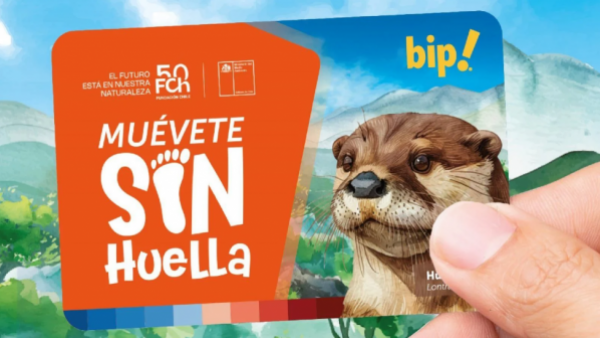 <p>Lanzan nueva trajeta bip! con un huillín como protagonista: ¿Dónde puedo comprarla?</p>Lanzan nueva trajeta bip! con un huillín como protagonista: ¿Dónde puedo comprarla?
