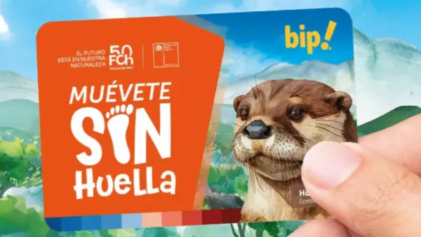 Lanzan nueva trajeta bip! con un huillín como protagonista: ¿Dónde puedo comprarla?