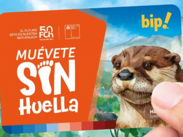 Lanzan nueva trajeta bip! con un huillín como protagonista: ¿Dónde puedo comprarla?