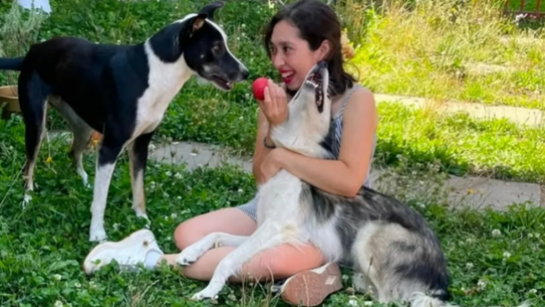 Perritos buscan casa luego de la muerte de su dueña por cáncer
