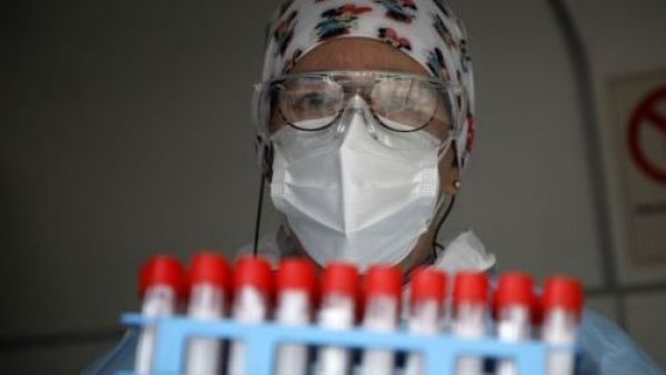 Confirman tercer caso de hantavirus en la Región de Ñuble en lo que va del año
