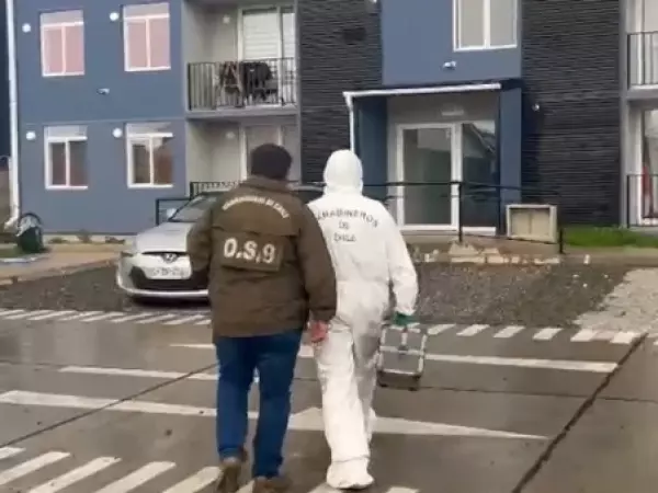 Bebé de dos meses fallece en Puerto Montt: madre lo encontró sin signos vitales mientras dormían