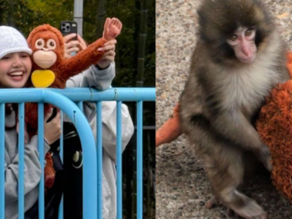 Lisa de Blackpink sorprende con inesperada visita a Punch