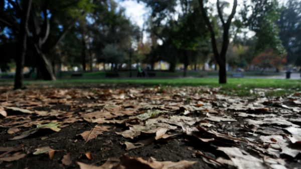 El verano llega a su fin: Revisa el día y hora de la llegada del otoño
