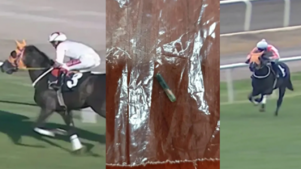 Escándalo en Turquía: detectan chip de caballo de carreras sacrificado en comida de comedor social