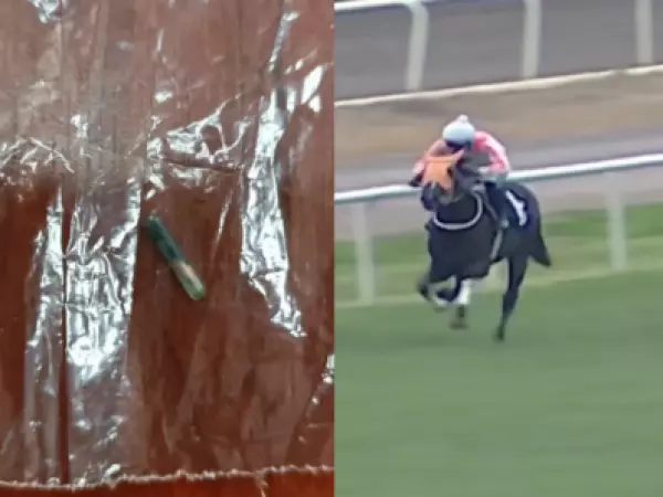 Escándalo en Turquía: detectan chip de caballo de carreras sacrificado en comida de comedor social