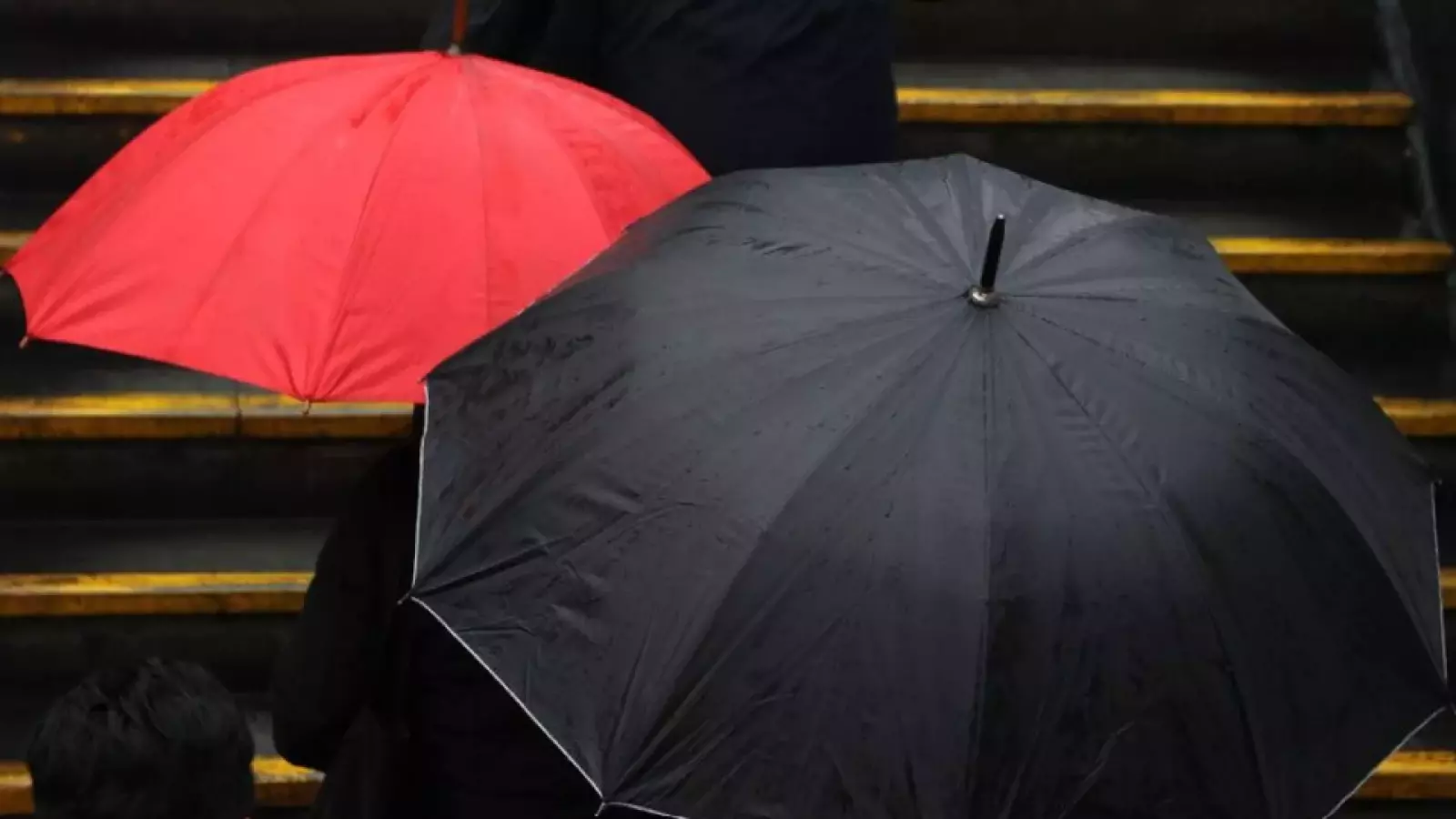 Lluvia y viento: emiten avisos por sistema frontal en distintas zonas del país