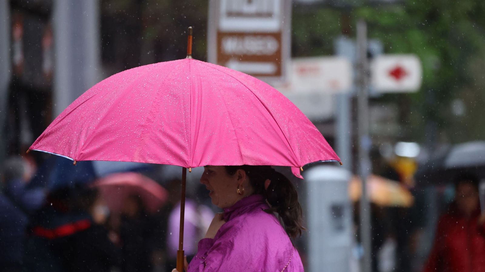 <p>Lluvias</p>
