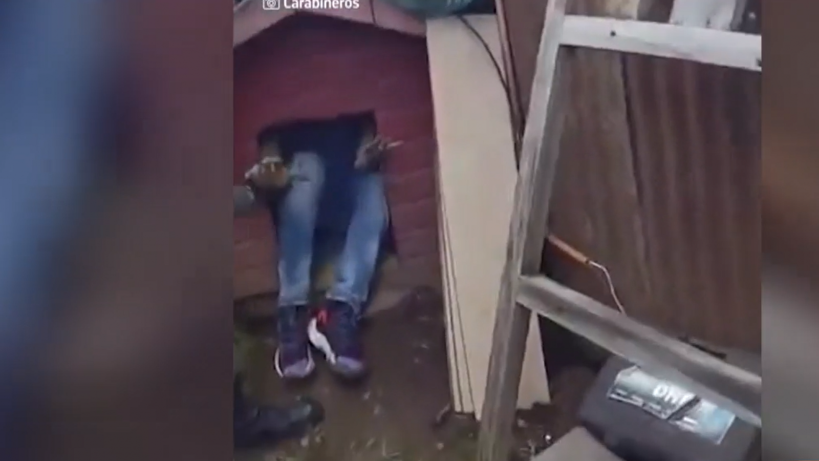 Se escondió en casa de perro: Carabineros detiene al primer "delincuente therian" en Valdivia
