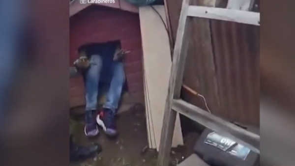 Se escondió en casa de perro: Carabineros detiene al primer "delincuente therian" en Valdivia