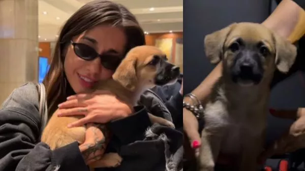 María Becerra sorprende al adoptar perrito en Chile