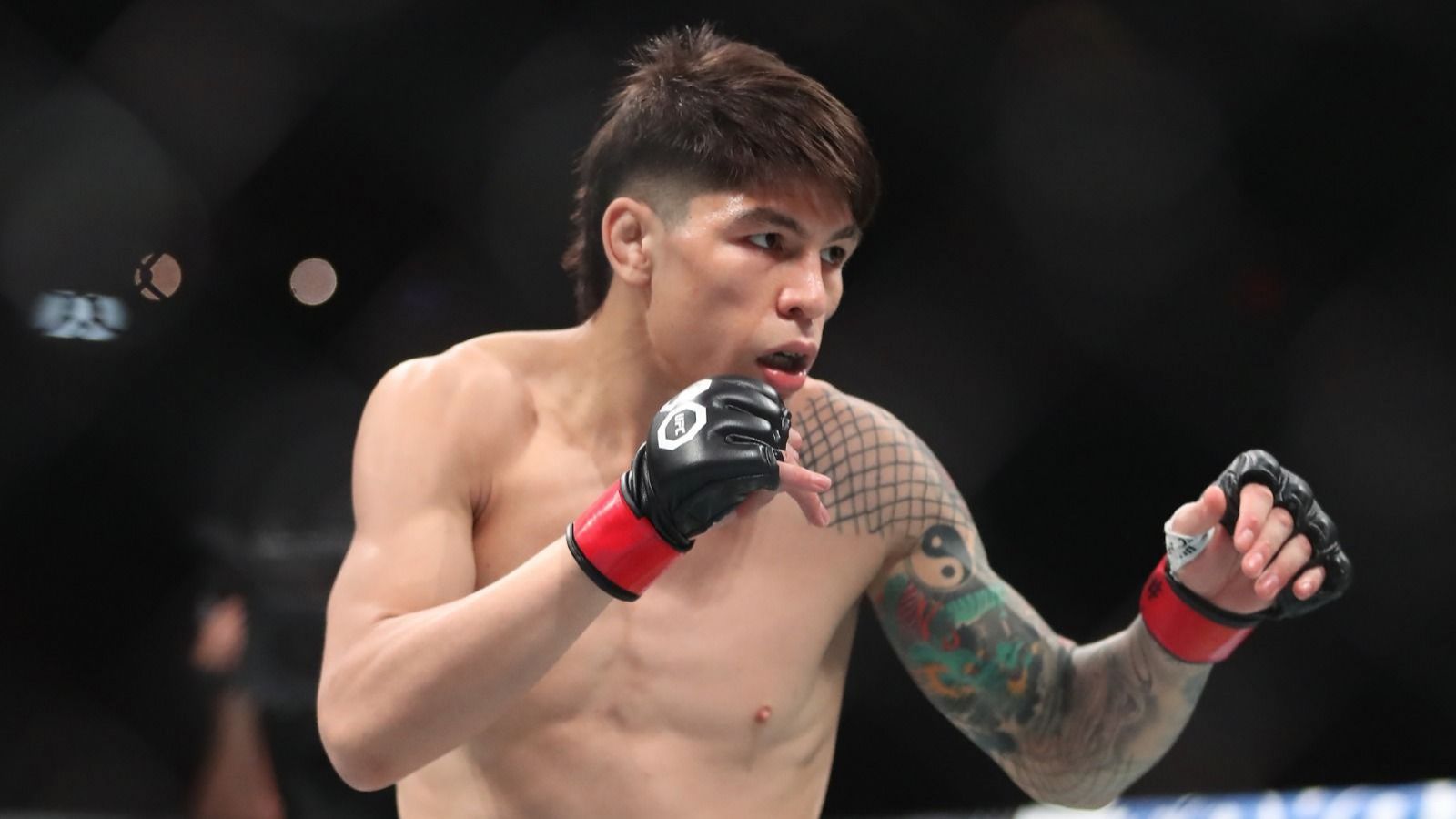 Jaula Bahamondes vuelve a la UFC: Revisa el día, hora y dónde ver su pelea
