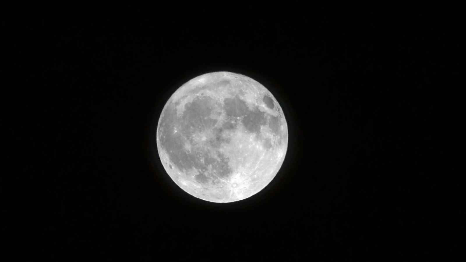 ¿Por qué se llama Luna rosa?

