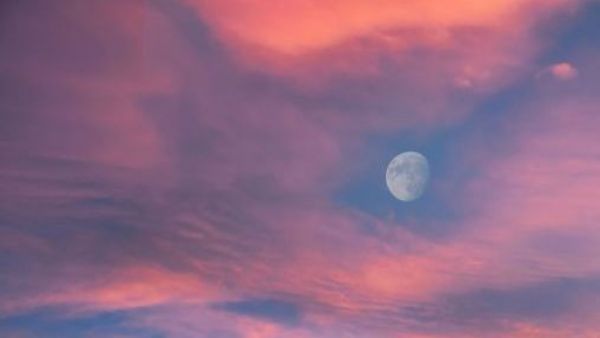 <p>Luna rosa 2026: fecha y hora exacta para verla en Chile esta semana</p>Luna rosa 2026: fecha y hora exacta para verla en Chile esta semana
