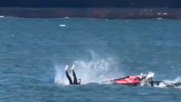 El impactante choque entre deportista y ballena en Estados Unidos
